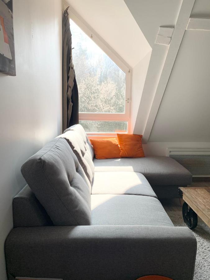 Annecy Au Calme Apartment Bagian luar foto